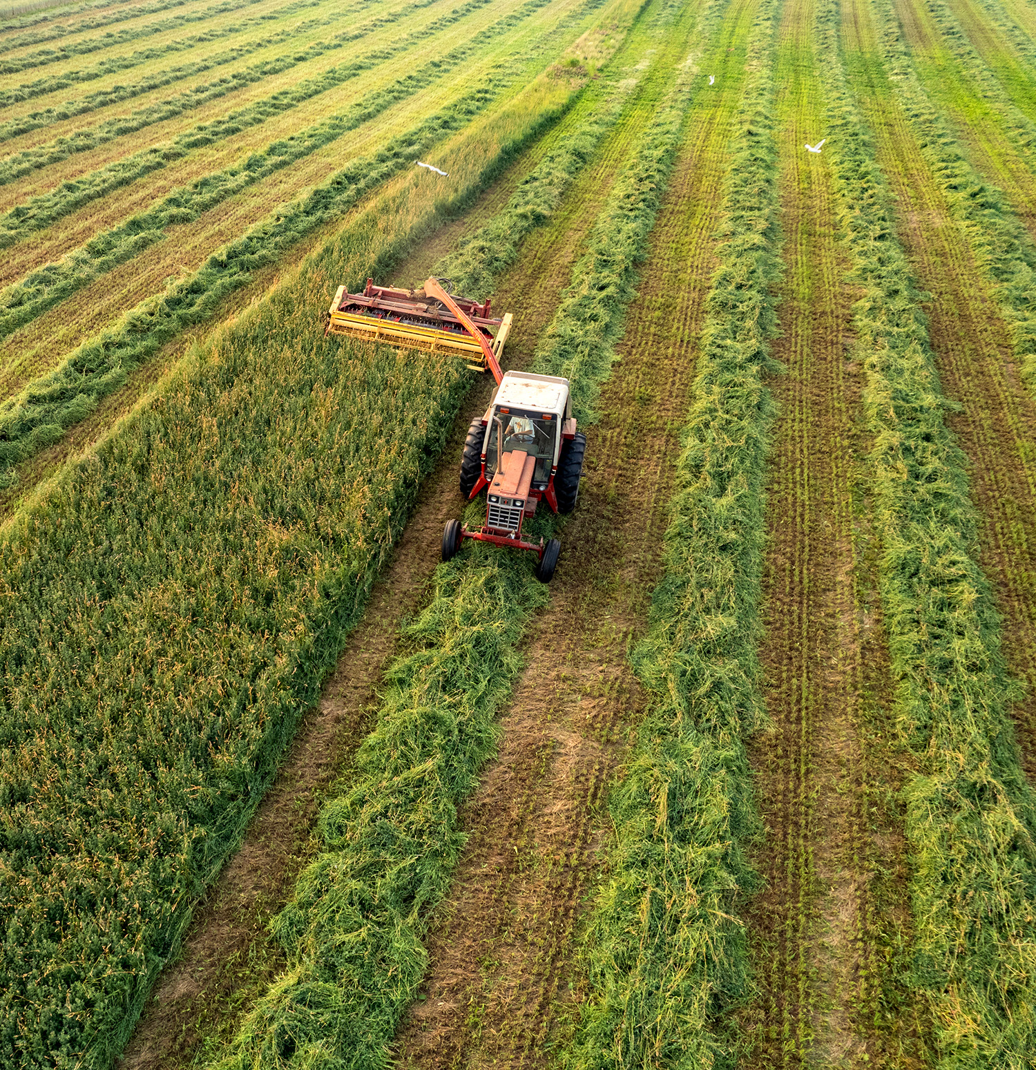 tractor in field